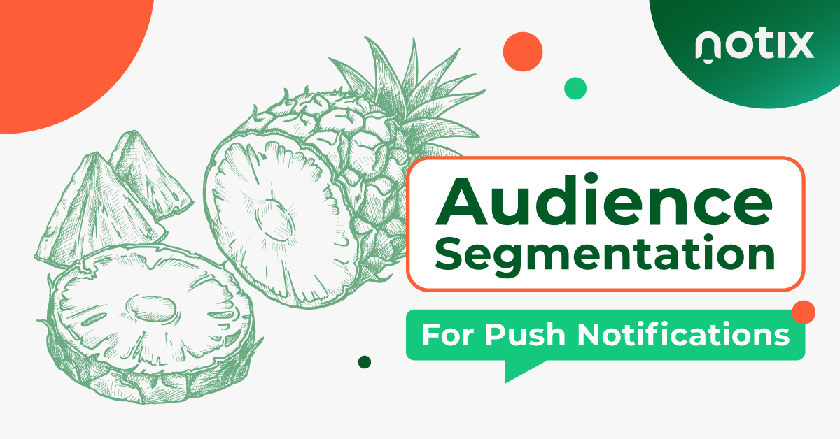 Notix Audience Segmentation Strategies for Push Notifications